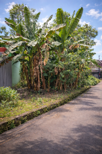Tanah SHMP di Banguntapan Dekat Kotagede Jogja