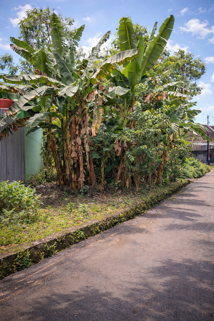 Tanah SHMP di Banguntapan Dekat Kotagede Jogja