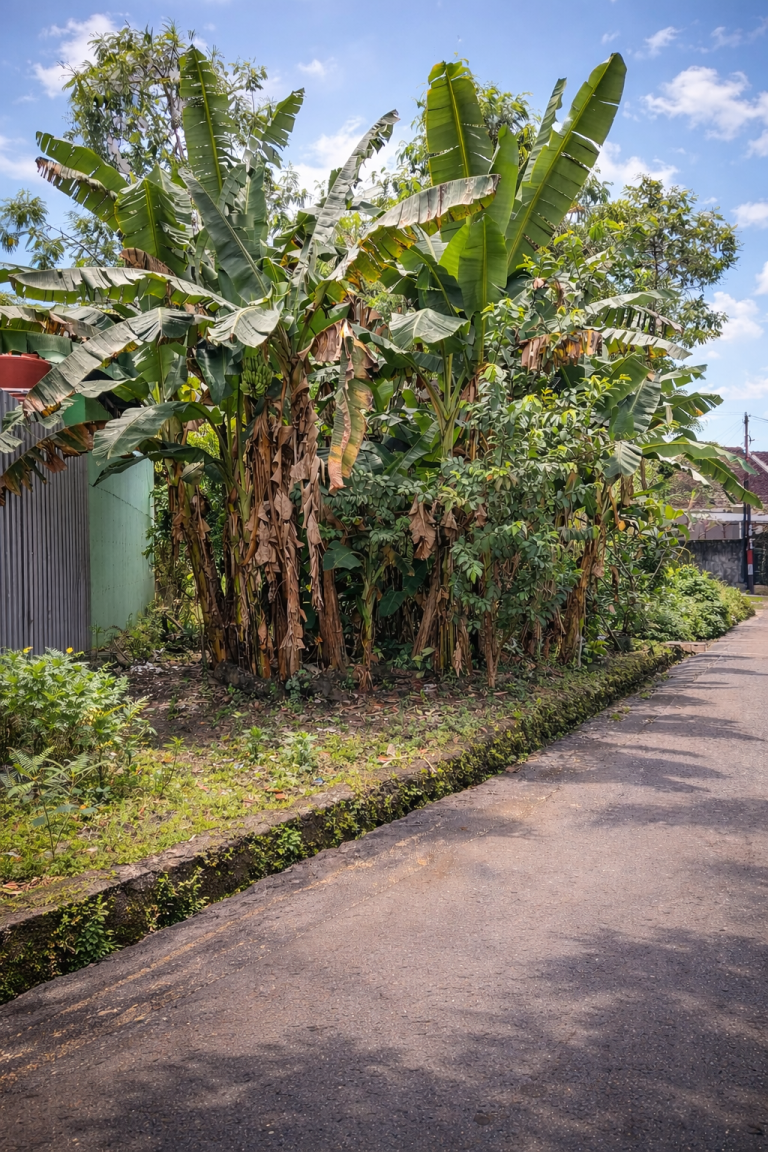 Tanah SHMP di Banguntapan Dekat Kotagede Jogja