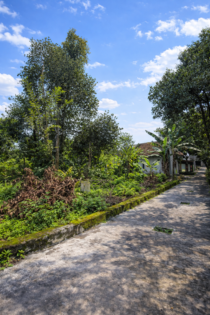 Tanah SHMP di Ambarketawang Sleman Dekat Kampus UMY