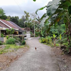 Tanah 300 Jutaan dekat Kampus UII Jogja