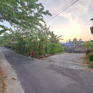 WhatsApp Image 2023-05-24 at 8.28