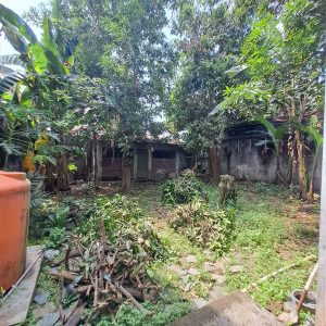 WhatsApp Image 2023-07-31 at 02.46