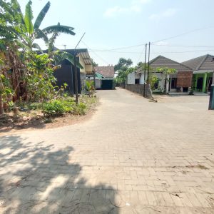 WhatsApp Image 2023-11-03 at 07.48