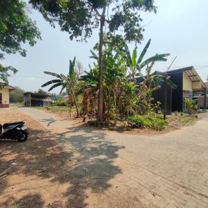 WhatsApp Image 2023-11-03 at 07.48