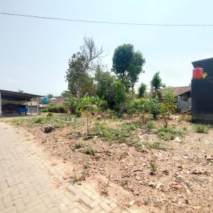 WhatsApp Image 2023-11-03 at 07.48