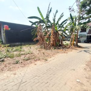 WhatsApp Image 2023-11-03 at 07.48