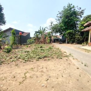 WhatsApp Image 2023-11-03 at 07.48