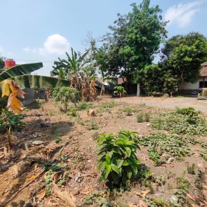 WhatsApp Image 2023-11-03 at 07.48