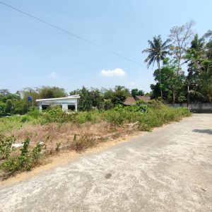 WhatsApp Image 2023-11-03 at 07.59