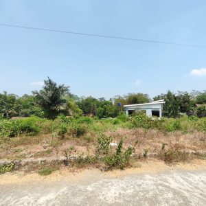 WhatsApp Image 2023-11-03 at 07.59