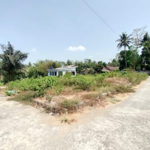 WhatsApp Image 2023-11-03 at 07.59