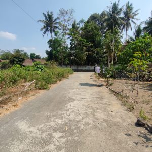 WhatsApp Image 2023-11-03 at 07.59