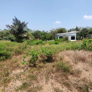 WhatsApp Image 2023-11-03 at 07.59