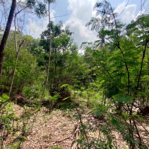 WhatsApp Image 2023-11-22 at 14.02