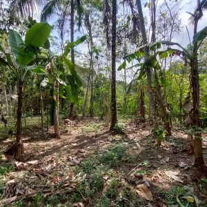 WhatsApp Image 2023-11-22 at 14.02