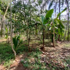 WhatsApp Image 2023-11-22 at 14.02