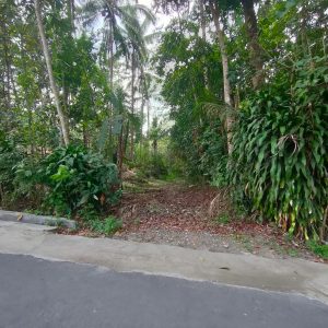 WhatsApp Image 2023-11-22 at 14.02