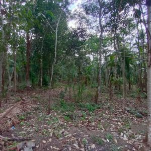 WhatsApp Image 2023-11-22 at 14.02