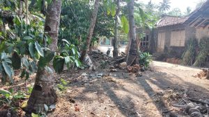 WhatsApp Image 2023-11-22 at 14.02