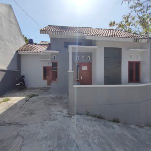 WhatsApp Image 2023-08-12 at 15.24