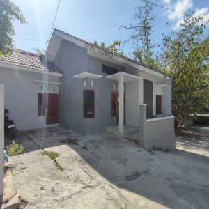 WhatsApp Image 2023-08-12 at 15.24