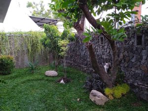 WhatsApp Image 2023-08-28 at 09.18