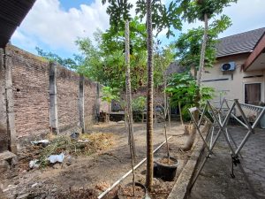 WhatsApp Image 2023-09-26 at 11.12