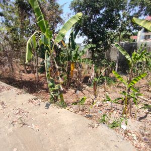 WhatsApp Image 2023-09-27 at 14.04