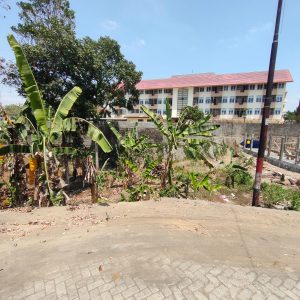 WhatsApp Image 2023-09-27 at 14.04