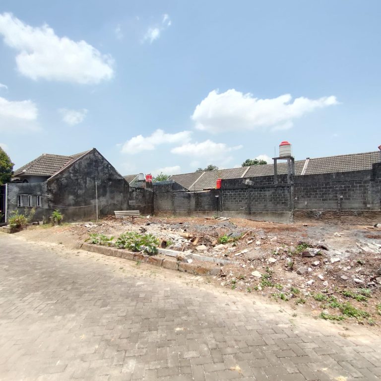 WhatsApp Image 2023-09-29 at 11.24