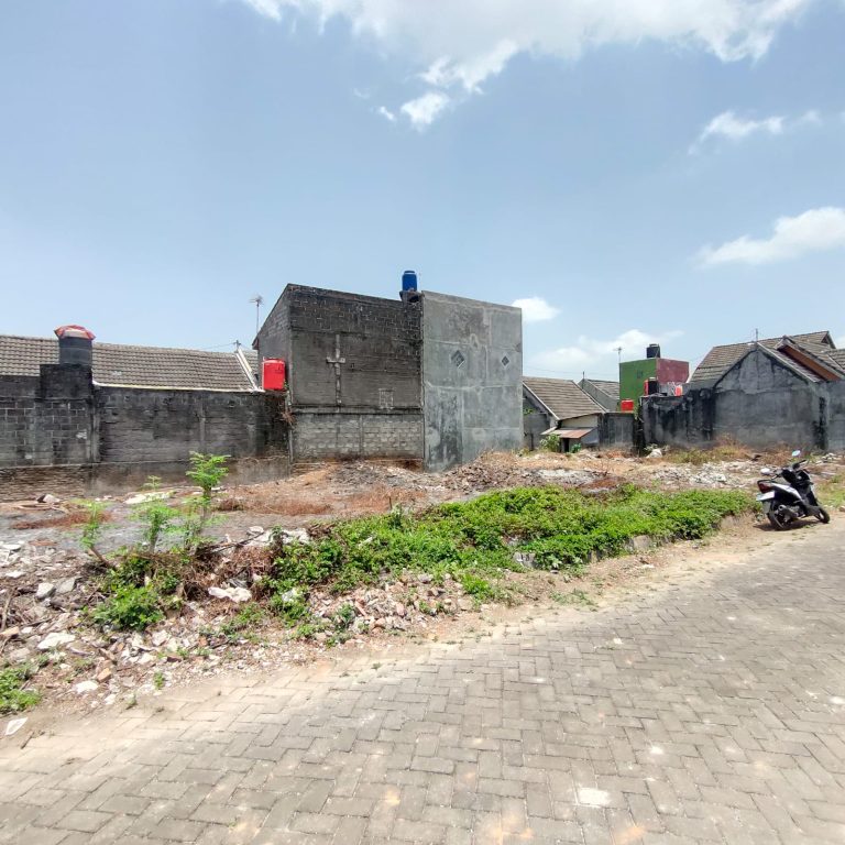 WhatsApp Image 2023-09-29 at 11.24