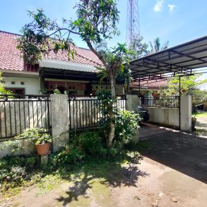 WhatsApp Image 2024-01-14 at 12.57