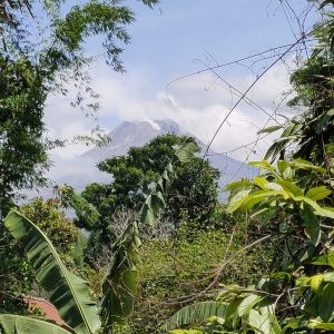 WhatsApp Image 2024-01-14 at 12.57