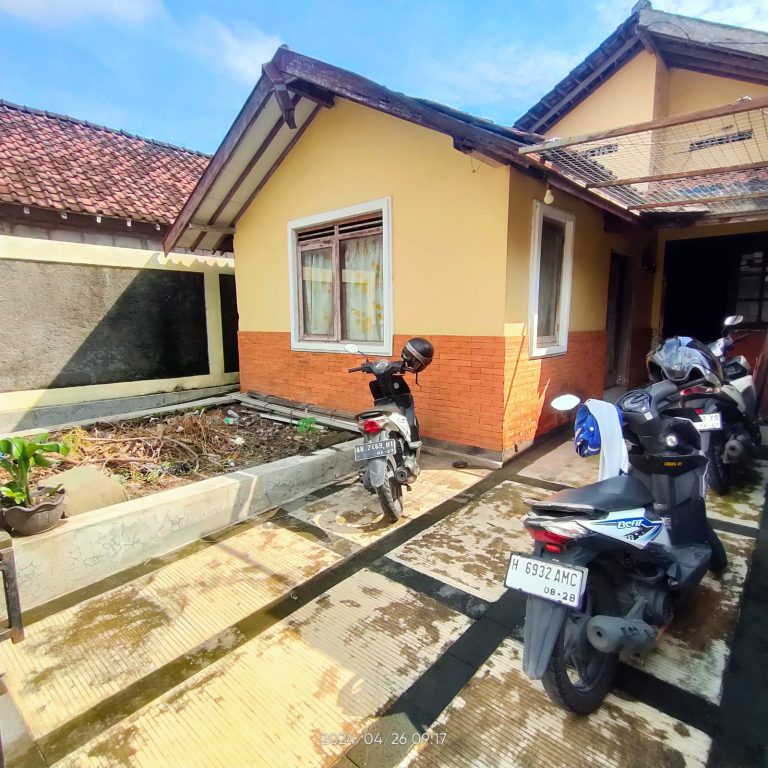 WhatsApp Image 2024-04-27 at 13.23