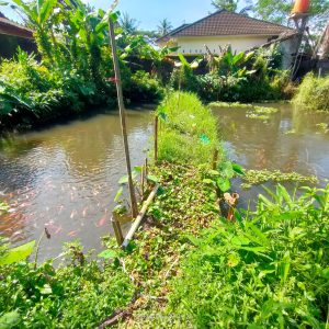 WhatsApp Image 2024-04-30 at 09.36