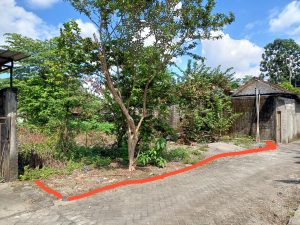 WhatsApp Image 2024-05-06 at 11.42