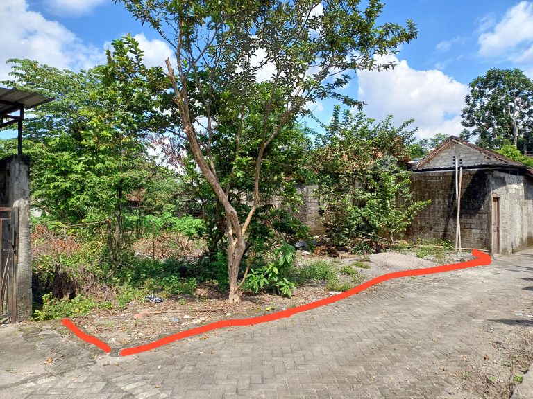 WhatsApp Image 2024-05-06 at 11.42