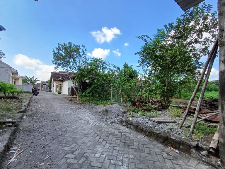 WhatsApp Image 2024-05-06 at 11.42