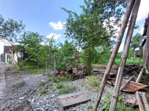 WhatsApp Image 2024-05-06 at 11.42