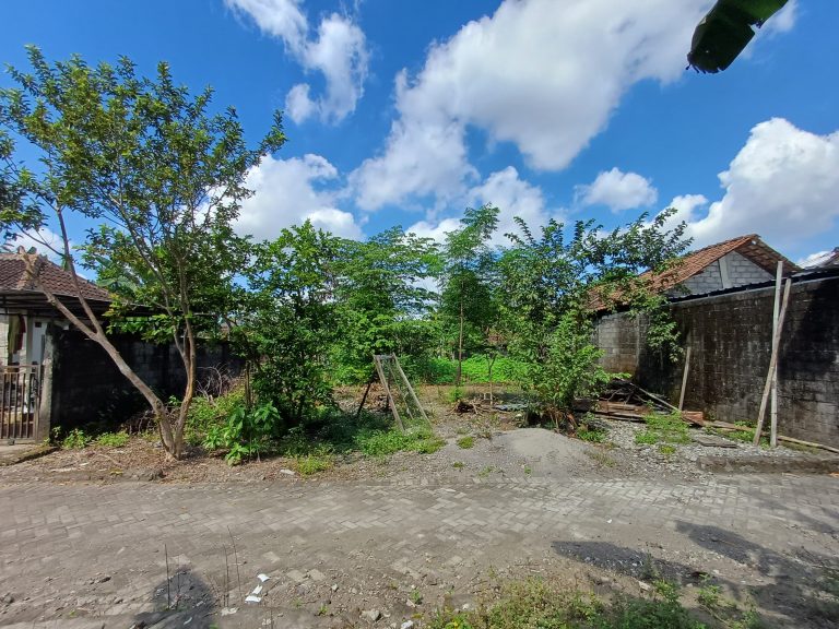 WhatsApp Image 2024-05-06 at 11.42