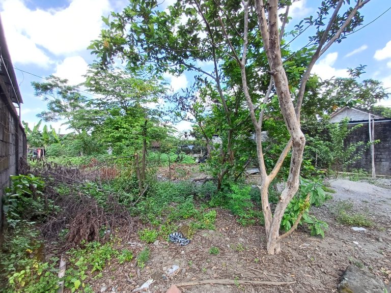 WhatsApp Image 2024-05-06 at 11.42