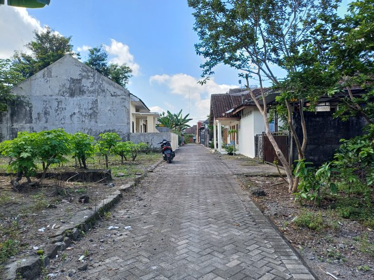 WhatsApp Image 2024-05-06 at 11.42