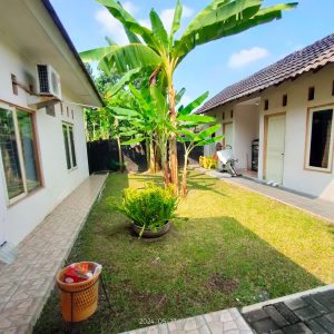 WhatsApp Image 2024-05-27 at 14.31