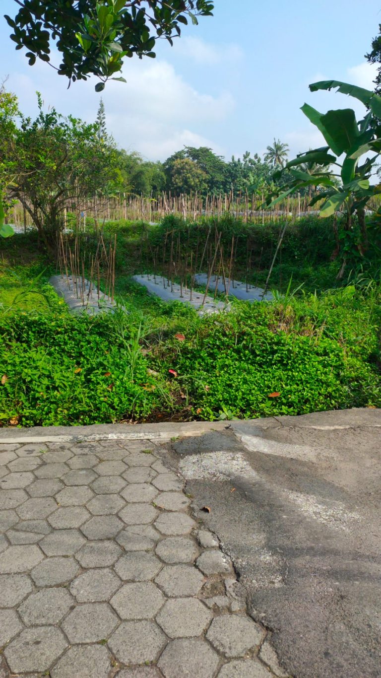 WhatsApp Image 2024-06-03 at 09.31