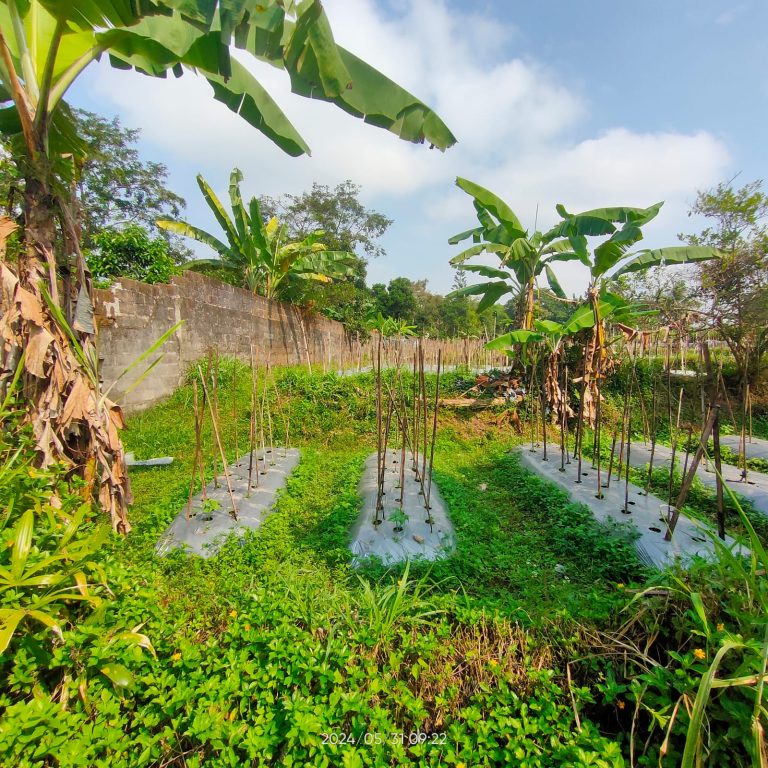 WhatsApp Image 2024-06-03 at 09.31