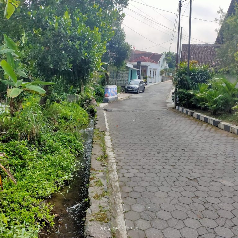 WhatsApp Image 2024-06-03 at 09.31