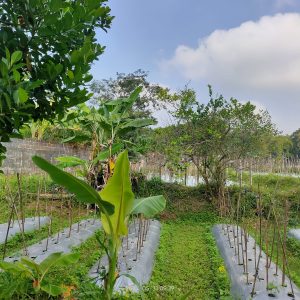 WhatsApp Image 2024-06-03 at 09.31