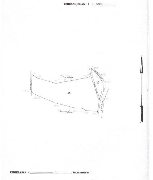 WhatsApp Image 2024-06-03 at 09.31