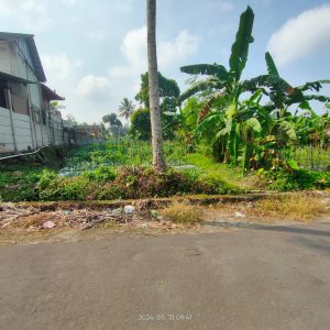 WhatsApp Image 2024-06-03 at 09.48